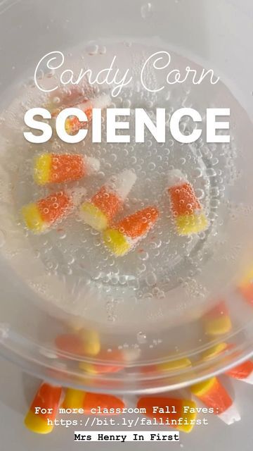 Mrs Henry In First on Instagram: "It’s corn! Can you imagine a more beautiful thing?! But really, what’s your opinion on candy corn 😍 or 😝 For me, it’s a 😝 I’d rather be munching on chocolate! But This Candy Corn Science Activity is 😍 It’s fun, simple, and perfect for Fall! Your students will classify solids according to their physical properties, predict the changes that may occur when different materials are mixed, and observe and describe the results of mixing those different materials. C Preschool Candy Corn Activities, Candy Corn Experiment For Kids, Candy Corn Stem Activity, Candy Corn Science, Science Activity, Fall Faves, Thanksgiving Activities, Physical Properties, Stem Activities