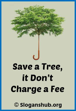 199 Best Save Tree Slogans and Taglines With Posters Save Trees Quotes, Save Earth Quotes, Slogans On Save Trees, Slogan On Save Environment, Save Tree Save Earth, Trees Quotes, Save Environment Posters, School Slogans, Save Water Poster Drawing