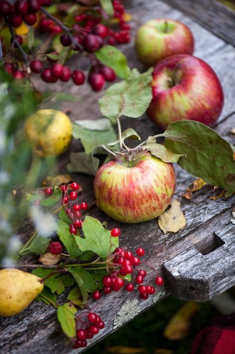 Kindra Clineff Photography: Custom Fishing Lure, Get Well Soon Gifts, Apple Orchard, Autumn Beauty, Fishing Gifts, Grandpa Gifts, Retirement Gifts, Fall Harvest, Autumn Inspiration