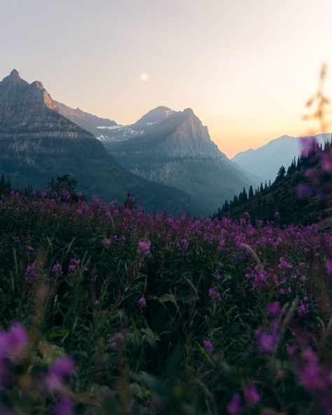 An evening in Glacier National Park✨ Arden Core, Layla Core, National Park Aesthetic, Park Aesthetic, Sky Mountain, Pretty Landscapes, Nature View, Landscape Scenery, City Landscape