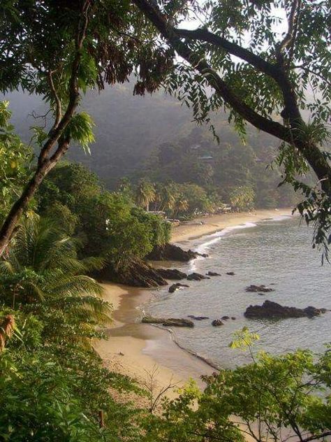 Trinidad Tobago, Canvas For Beginners, Caribbean Travel, Santa Lucia, Caribbean Islands, Tropical Islands, Nature Aesthetic, Island Life, Pretty Places