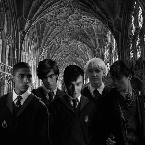 Theodore Nott And Draco Malfoy, Mattheo Riddle And Theodore Nott, Slytherin Boys All Together, Matteo Riddle, Blaise Zabini, Riddle Pictures, Theodore Nott, Scorpius Malfoy, Daniel Radcliffe Harry Potter