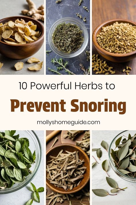 Explore the benefits of medicinal herbs and natural remedies for snoring with these DIY tips. Discover how herbal sleep aids, essential oils, and homemade snore relieving gel can help improve your sleep quality. From herbs for snoring to simple home remedies, find effective solutions to tackle snore relief and even manage sleep apnea. Say goodbye to restless nights and try these proven methods for a peaceful slumber! Snore Remedies, How To Prevent Snoring, Natural Snoring Remedies, Snoring Essential Oils, Witch Hazel Uses, Herbs For Sleep, Diy Medicine, Herbal Education, Snoring Remedies