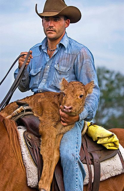 Carlton Ward, Jr. Photography | Florida Cowboy Man On A Horse, Cowboys And Angels, Real Cowboys, Cowgirl Outfit, Wilde Westen, Paint Horse, Cowboy Girl, Cowboy Horse, Western Life