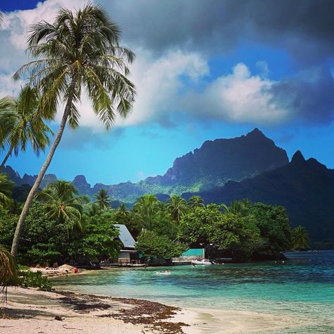 Moorea 💚 #islandlife #island #islands #polynesian #polynesianislands #tahitietsesiles #vivresouslescocotiers #polynesiefrancaise… | Instagram French Polynesian Islands, Polynesian Islands, Beautiful Beach Pictures, Islands Of Adventure, French Polynesia, Beautiful Places In The World, Island Life, Action Adventure, Most Beautiful Places