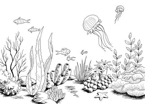 Underwater Grass Drawing, Underwater Theme Drawing, Coral Reef Tattoo Black And White, Ocean Bottom Drawing, Underwater Ocean Drawing, Sea Bed Drawing, Underwater Landscape Illustration, Under Ocean Drawing, Simple Underwater Drawing