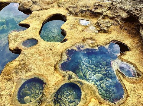 This BC Shoreline Is Full Of Rich Tide Pools You Must See At Least Once Tide Pool Art, Rocks Around Pool, Cave Photos, Tidal Pool, Sea Dream, Rock Beach, Tide Pool, Suitcase Travel, Forest Bathing