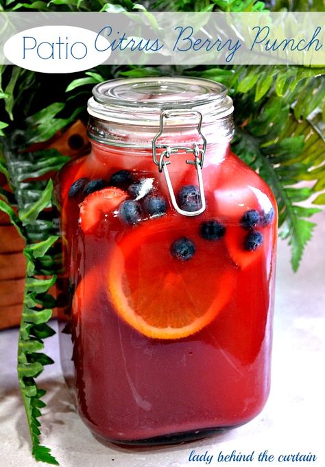 Patio Citrus Berry Punch - Lady Behind the Curtain Fresh Fruit Punch Recipes, Fruit Punch Recipes Non Alcoholic, Sparkling Fruit Punch, Natural Fruit Punch Recipe, Arizona Fruit Punch, Fruit Punch Arizona, Sparkling Berry Punch, Minute Maid Fruit Punch, Glace Fruit