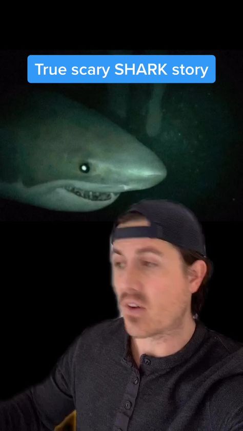 Scary Shark Videos, Shark Videos Scary Creepy, Scary Facts About The Ocean, Creepy Ocean Facts, Scary Things Found In The Ocean, Creepy Things Found In The Ocean, Scary Things In The Ocean, Scary Ocean Pics, Scary Ocean Videos