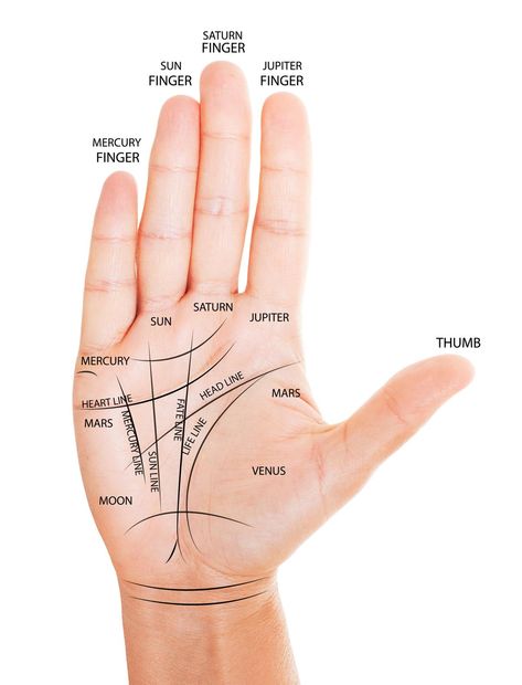 Woman hand with palm reading map. Palm Reading Charts, Hand Reading, Indian Palmistry, Palmistry Reading, Reading Facts, Permutations And Combinations, Divination Methods, Facts About Humans, Diy Water Fountain