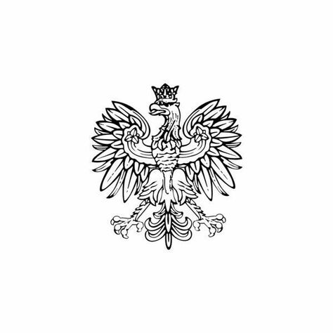 Poland Drawing, Polish Eagle Tattoo, Poland Tattoo, Falcon Tattoo, Slavic Tattoo, Polish Tattoos, Falcon Crest, Bird Outline, Polish Eagle