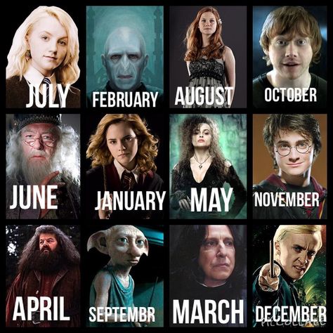 June thats fine my moms born that month haha and hes my sec fav Harry Potter Zodiac, Harry Potter Character, Harry Potter Memes Hilarious, Harry Potter Baby, Bellatrix Lestrange, Potter Facts, Harry Potter Outfits, Harry Potter Facts, Harry Potter Jokes