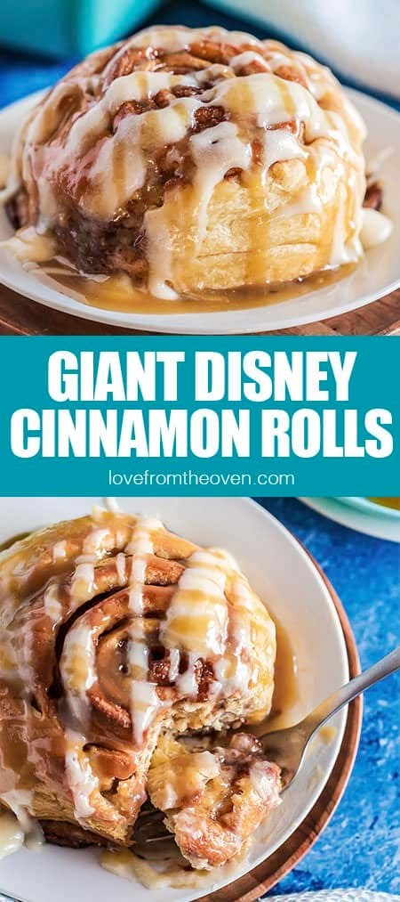 Giant Cinnamon Rolls Easy, Big Fluffy Cinnamon Rolls Homemade, Giant Muffins Recipe, Cinnamon Rolls Homemade Easy Quick, Giant Cinnamon Roll Recipe, Butterscotch Topping, Giant Cinnamon Rolls, Bread Cinnamon, Love From The Oven