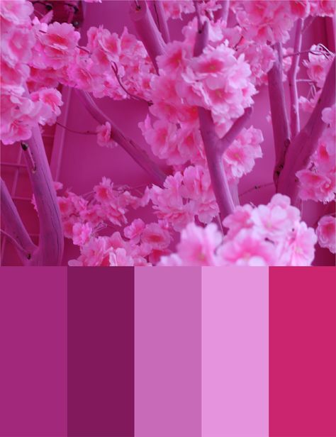 Magenta Color Pallete, Fucsia Color Pallete, Color Palette Magenta, Magenta Color Combinations, Magenta Color Palette, Viva Magenta Colour Palette, Pink Purple Red Colour Palette, Unique Flower Arrangements, Color Forecasting