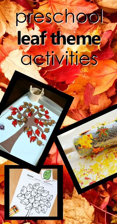 Preschool Leaves Activities, Apples Activities, Preschool Teacher Tips, Leaf Activities, Teaching Preschoolers, September Themes, Preschool Fall, Montessori Lessons, Printable Lesson Plans