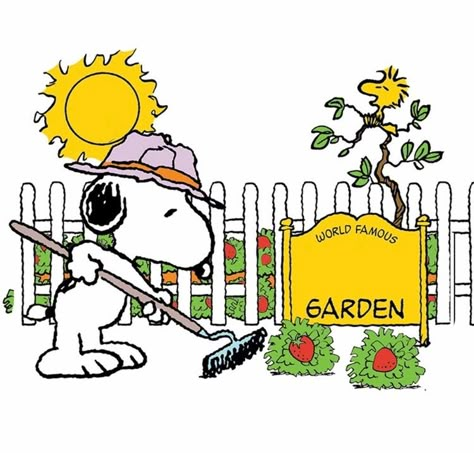 Snoopy Gardening, Peanut Quotes, Snoopy Clip Art, Snoopy Garden, Happy Snoopy, Woodstock Snoopy, Snoopy Cartoon, Snoopy Funny, Snoopy Images