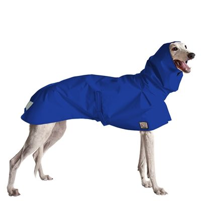 Greyhound Dog Apparel and dog coat Black Greyhound, Dog Jackets, Rain Slicker, Raincoat Outfit, Greyhound Dog, Yellow Raincoat, Dog Raincoat, Walking In The Rain, Grey Hound Dog