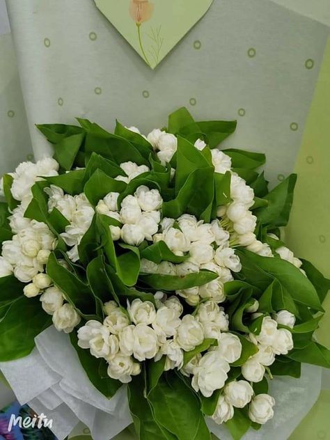 Sampaguita Bouquet, Jasmine Flower Bouquet, Jasmine Bouquet, Fav Flower, Plant Varieties, Indian Flowers, Jasmine Flower, White Lily, White Lilies