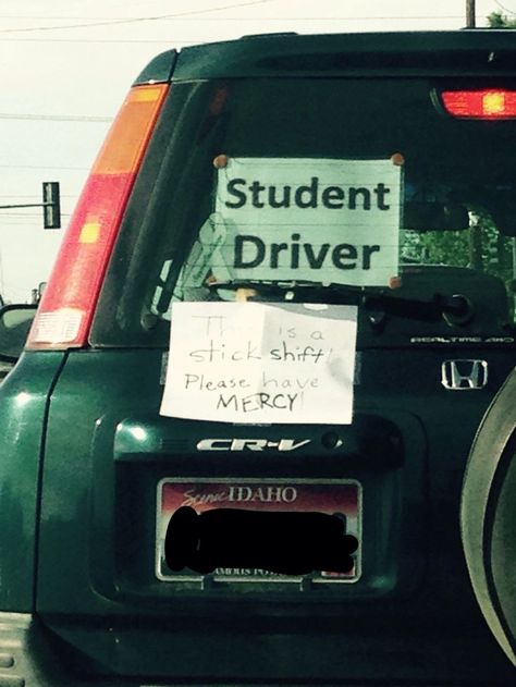 Student driver Student Driver Humor, Driving Memes, Learners Permit, Drivers Permit, Vision Board Collage, Student Driver, Car Jokes, Driving Permit, Vision Board Photos