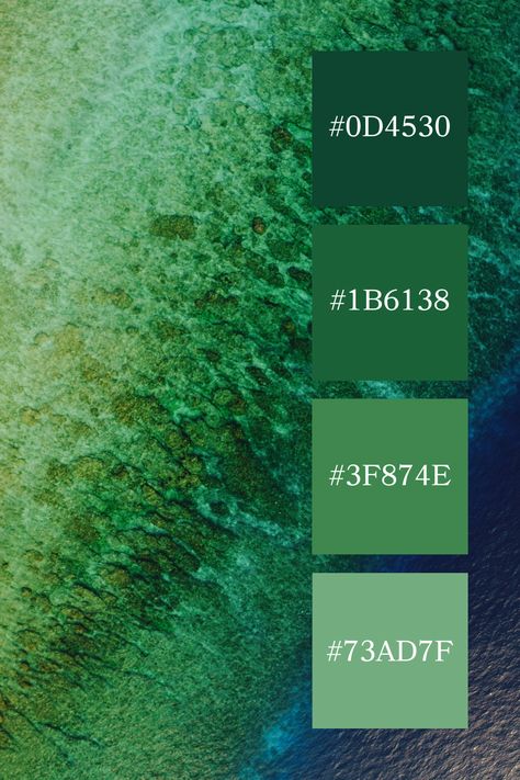 A top-down view of a coastal reef featuring a sea green color palette, transitioning from mossy greens near the shore to darker teal as it merges with the deep blue of the ocean, illustrating the rich biodiversity of marine life. Sea Green Color Palette, Color Palette Code, Color Scheme Generator, Ocean Color Palette, Jewel Tone Color Palette, Dark Sea Green, Code Color, Sea Green Color, Green Color Palette