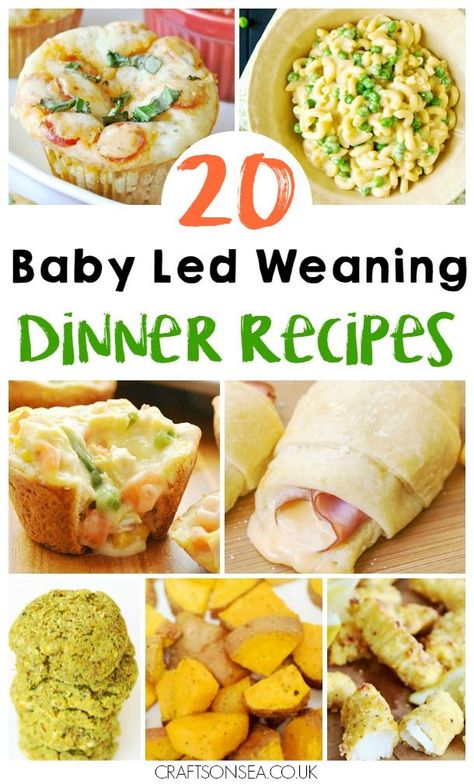 Need inspiration quickly? We've got 20 baby led weaning dinner ideas suitable for the whole family and perfect for finger foods too!  via @craftsonsea Dinner Ideas For Baby, Baby Led Weaning Dinner Ideas, Recipes For Babies, Fingerfood Baby, Weaning Foods, Baby Led Weaning Recipes, Weaning Recipes, Diner Recept, Baby Finger Foods