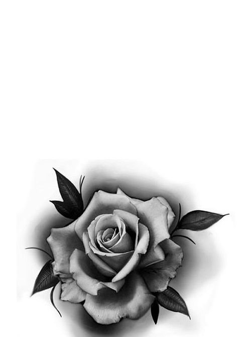 Black And White Rose Tattoo, Rose Outline Tattoo, Black And Grey Rose Tattoo, Black And White Flower Tattoo, Rosen Tattoo Frau, Rose Tattoo Stencil, Realistic Flower Tattoo, White Rose Tattoos, Realistic Rose Tattoo