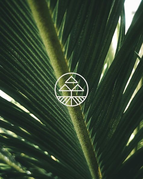 BRAND REVEAL — Living Pono Co. 🌿 “Living Pono is your guide to a balanced and healthy well-being. They are more than just a brand; Living Pono Co. is a personal journey dedicated to sharing knowledge and advice, drawing from Hawaiian wisdom and holistic well-being practices.” Living Pono Co. (@itsaliaa) is one of our first clients under the Brand Intensive Package, and was a complete joy to work with. Her vision was to have a brand identity that captures her story and culture, as well as be... Ayurveda Branding, Brand Reveal, Sharing Knowledge, Brand Mark, Personal Journey, Brand Packaging, Visual Design, Ayurveda, Well Being