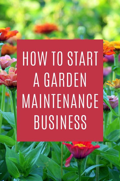 Garden Services Business, Garden Business Ideas, Vines Garden, Gardening Business, Plant Business, Landscape Business, Garden Business, Business Strategy Management, Start A Garden