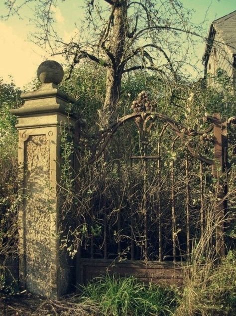 Overgrown gate. Abandoned Mansion, Grey Gardens, Abandoned Mansions, Garden Gate, Haunted Places, Abandoned Buildings, Old Buildings, Abandoned Houses, Garden Gates