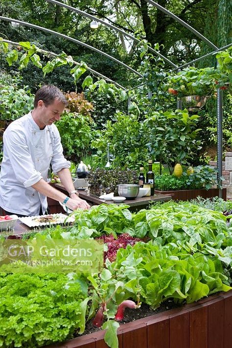 Chef Andrew Nutter prepares food in outdoor kitchen using salad leaves and herbs from edible living wall - Freshly Prepped by Aralia, sponsored by Pawley and Malyon, Heather Barnes, Attwater and Liell - Silver Flora medal winner for Courtyard Garden at RHS Chelsea Flower Show 2009 Chefs Garden, Action Board, Culinary Classes, Courtyard Gardens, Rhs Chelsea Flower Show, Salad Leaves, Food Forest, Plant Photography, Cooking Chef