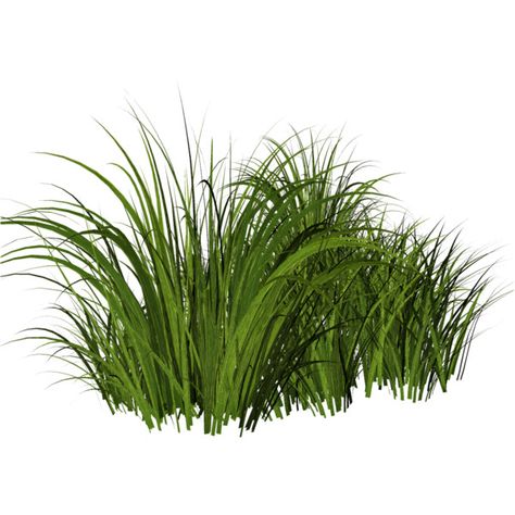 Cartoon Grass, Mini Mousse, Grass Drawing, Poster Rangoli, Landscape Architecture Graphics, Frames Design Graphic, Tree Photoshop, Grass Plants, Landscape Design Drawings