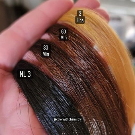 Level 3 Hair Color, Level 3 Hair, Highlights Tutorial, Highlight Tutorial, Hair Science, Coarse Hair, Level 3, The More You Know, Color Theory