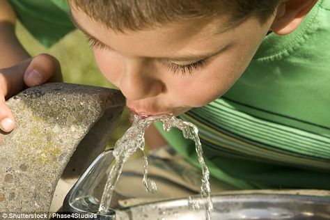 It is hoped that by installing more drinking fountains, people will be encouraged to reuse their water bottles and create less waste Water Healing, Endocrine Disruptors, Drinking Fountain, About Water, School Yard, Drink More Water, Water Fountain, Each Day, Autocad