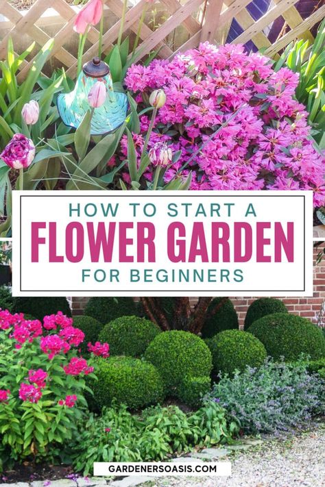 These flower garden ideas for beginners will show you exactly how to start a garden of your own! If you're looking for inspiration to get started, this is the post for you. Perfect for new gardeners! Flower Garden For Beginners, Flower Garden Layouts, Garden For Beginners, Garden Planning Layout, Small Flower Gardens, Backyard Flowers Garden, Flower Garden Plans, Flower Garden Design, Gardening Flowers