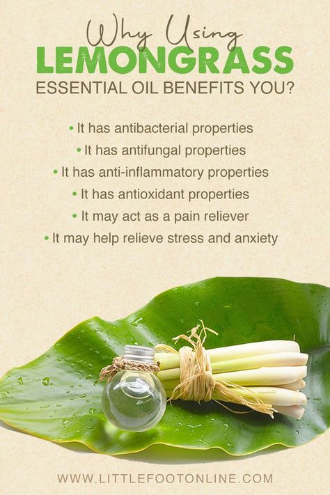 Have you heard about lemongrass essential oils? There are many benefits that we can get from it. Let's find out more! Lemongrass Essential Oil Benefits, Natural Beauty Recipes, Essential Oil Benefits, Lemongrass Essential Oil, Oil Benefits, Beauty Recipe, Dry Brushing, Natural Healing, Lemon Grass