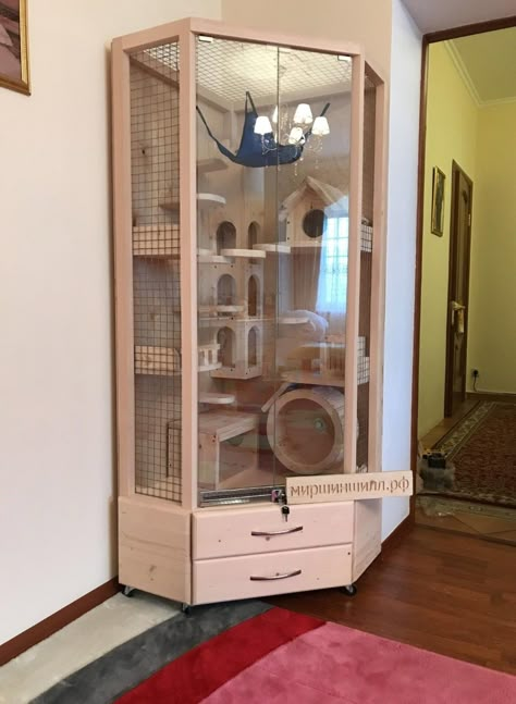 Pet Pigeon, Cage Hamster, Cat Furniture Design, Chinchilla Cage, Ferret Cage, Fish Tank Terrarium, Bunny Room, Cat Patio, Cat Hotel