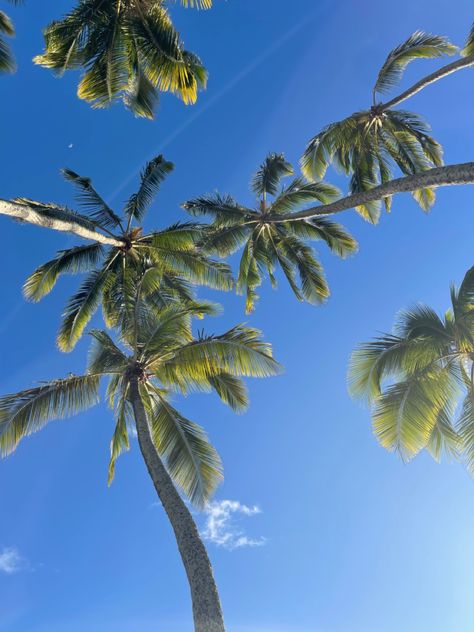 Blue Background Plain, Vibe Blue, Light Blue Aesthetic, Summer Backgrounds, Blue Beach, Summer Blue, Summer Wallpaper, Summer Photos, Blue Skies