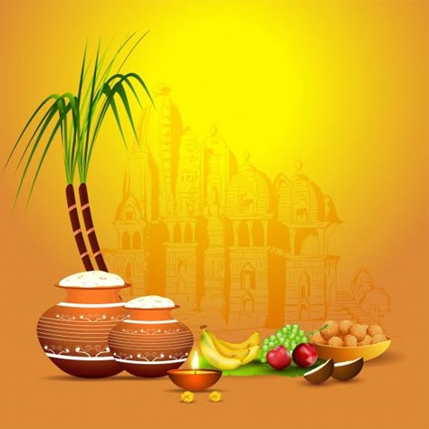 Pongal Festival Images, Pongal Greeting Cards, Pongal Images, Happy Pongal Wishes, Pongal Celebration, Happy Pongal, Banner Background Hd, Fruit Vector, Festival Image