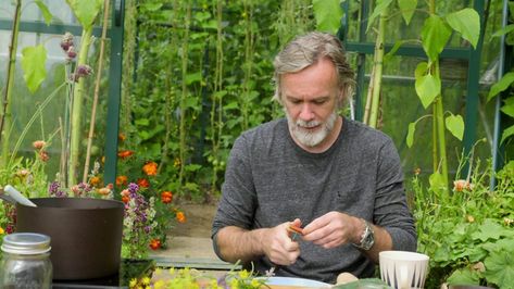 Pickled Rhubarb, Marcus Wareing, Vinaigrette Recipes, Simple Joys, Garden Recipes, Kitchen Garden, Episode 5, Rhubarb, A Kitchen