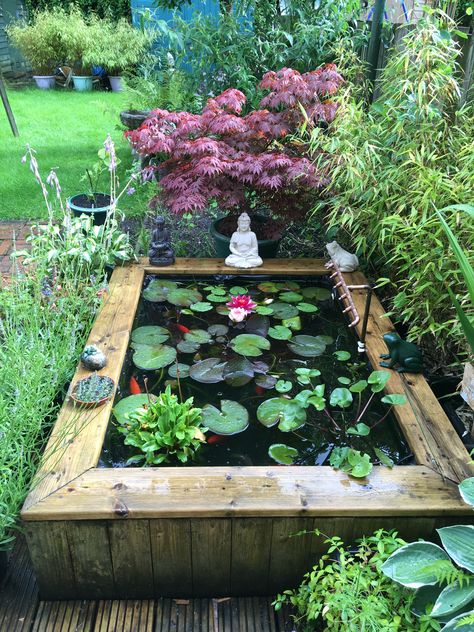 Garden Pond Rectangular, Fish Pond Gardens Landscaping, Greenhouse Koi Pond, Raised Ponds For Small Gardens, Raised Fish Pond, Raised Garden Pond Ideas, Greenhouse With Pond, Small Koi Fish Pond, Garden Fish Pond Ideas