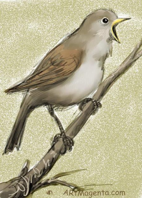 Nightingale Drawing, Nightingale Bird, Bird Paintings, Country Paintings, Wrist Tattoo, Cute N Country, Happy Paintings, Nightingale, Bird Drawings