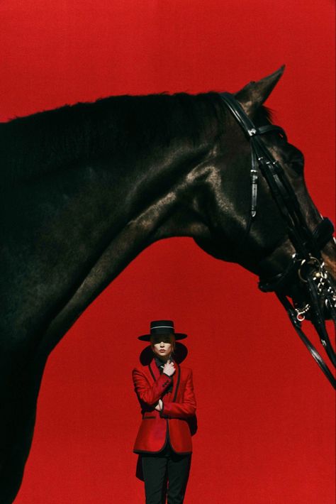 Equine Photography Poses, Famous Actresses, Horse Inspiration, Horse Fashion, Horse Posters, Anya Taylor Joy, Equine Photography, Photo Projects, Horse Photography