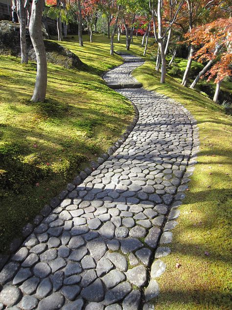 Maple garden - Stone pavement in the maple garden at Hakone Museum, Japan (by Yuichi Handa). | Flickr - Photo Sharing!