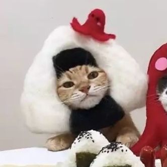 onigiri cat Cat Matching Pfp, Christmas Profile Pictures, Cat Wearing Glasses, Cutout Shirts, Sushi Cat, Funny Matching, Match Profile, Cat Profile, Cat Pfp