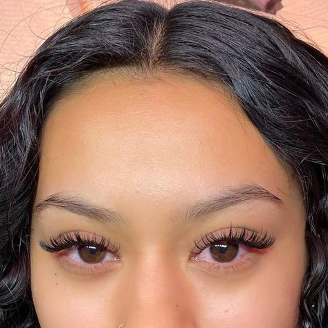 Wet Set Extensions, Kylie Wet Set Lashes, Short Wet Set Lash Extensions, Lash Wet Set, Wet Set Eyelash Extensions, Lashes Wet Set, Classic Wet Set Lashes, Wispy Wet Set Lash Extensions, Lash Extensions Wet Set