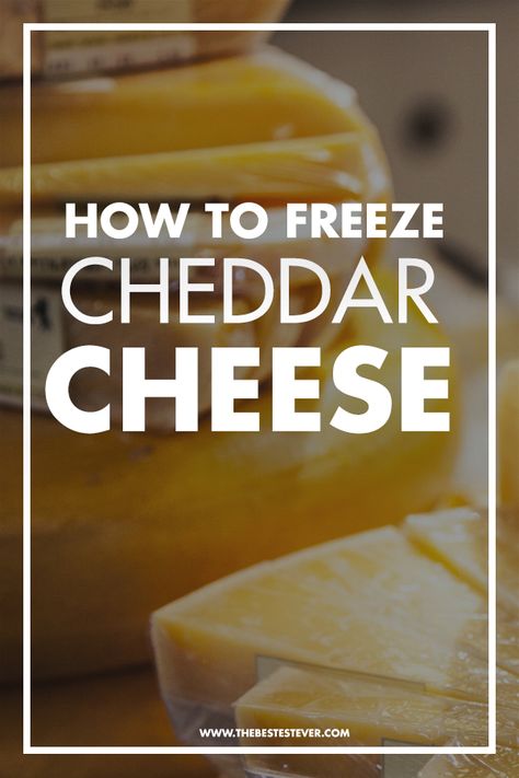 Can You Freeze Cheese, Freezing Cheese, Salad Storage, Freezing Food Guide, Chedder Cheese, Freeze Food, Cheddar Cheese Recipes, Freezing Food, Freezer Meal Planning