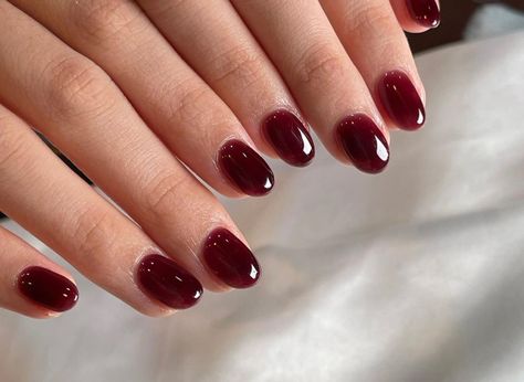 Brown Jelly Nails, Short Oval Nails, Elegant Touch Nails, Band Nails, Hippie Nails, Classy Acrylic Nails, Pretty Gel Nails, Burgundy Nails, Jelly Nails