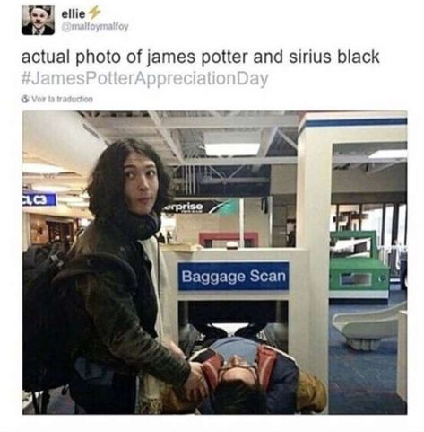 Severus Sneep, Funny Celebrity Memes, Laurence Anyways, Credence Barebone, Celebrity Memes, Harry Potter Memes Hilarious, Images Harry Potter, Potter Facts, Harry Potter Headcannons