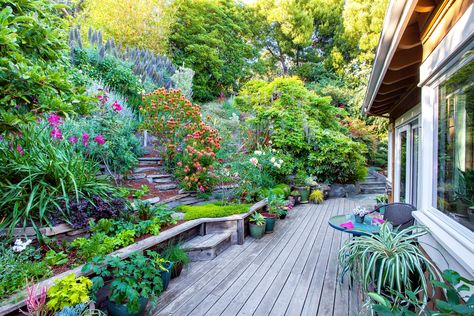 A Hillside Garden Makeover in California - This Old House Hillside Cottage, Steep Gardens, Sloped Backyard Landscaping, Landscaping On A Hill, Hillside Garden, Sloped Backyard, Tiered Garden, Hillside Landscaping, Garden On A Hill