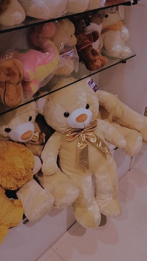 At Gramedia Cibinong City Mall Girly M Instagram, Teddy Bear Shop, Birthday Quotes For Her, Teddy Bear Wallpaper, Sisters Photoshoot, Girls Room Ideas, Smart Gadget, Poses Women, Bear Wallpaper